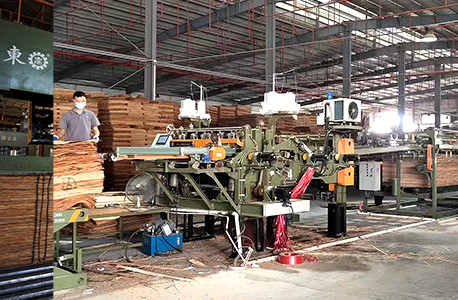 Jiangmen Buangchi Import and Export CO.,LTD