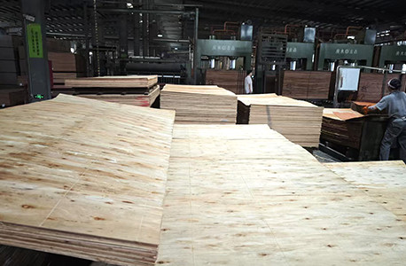 Jiangmen Buangchi Import and Export CO.,LTD