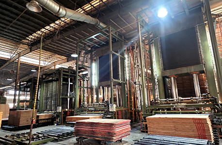 Jiangmen Buangchi Import and Export CO.,LTD