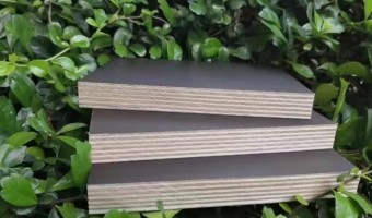 News-邦驰-The characteristics of film faced plywood