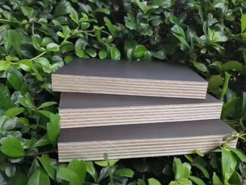 Film Face plywood